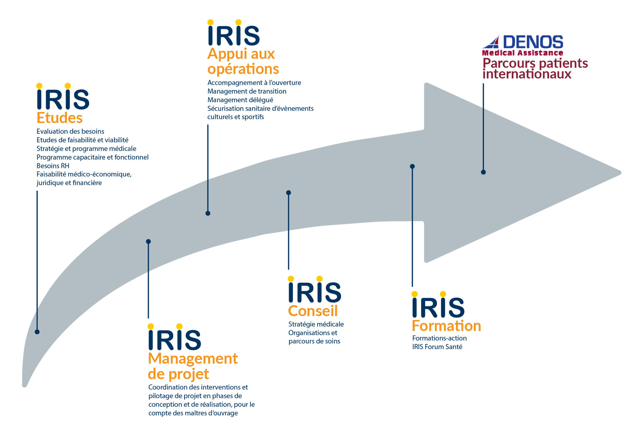 Prestations réalisées par IRIS Conseil Santé